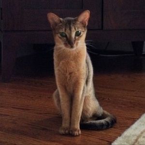 Meet your Posher, Elle